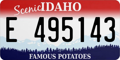 ID license plate E495143