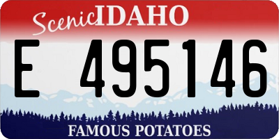ID license plate E495146