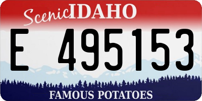 ID license plate E495153