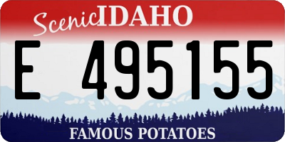 ID license plate E495155