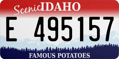 ID license plate E495157