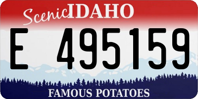 ID license plate E495159