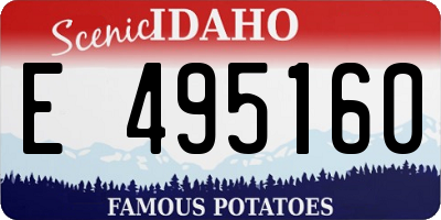 ID license plate E495160