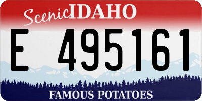 ID license plate E495161