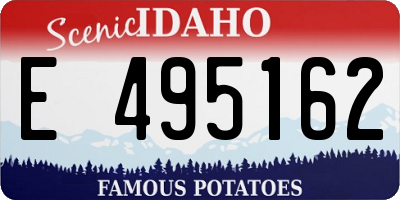 ID license plate E495162