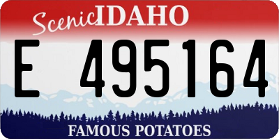 ID license plate E495164
