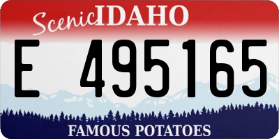 ID license plate E495165