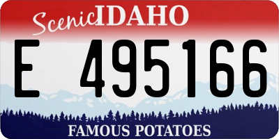 ID license plate E495166