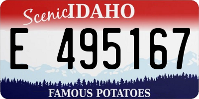 ID license plate E495167