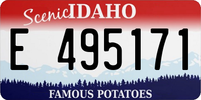 ID license plate E495171