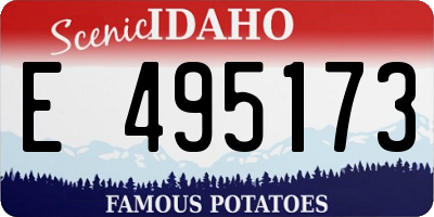 ID license plate E495173