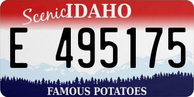 ID license plate E495175