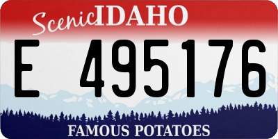 ID license plate E495176