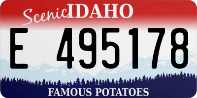 ID license plate E495178