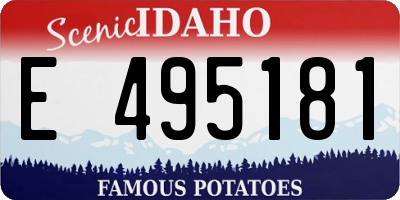 ID license plate E495181