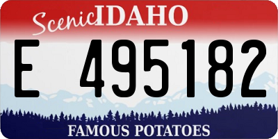 ID license plate E495182