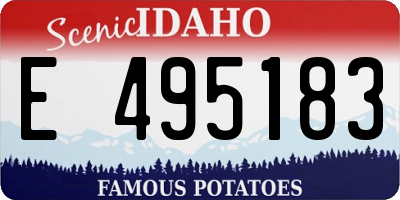 ID license plate E495183