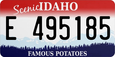 ID license plate E495185