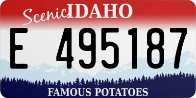 ID license plate E495187
