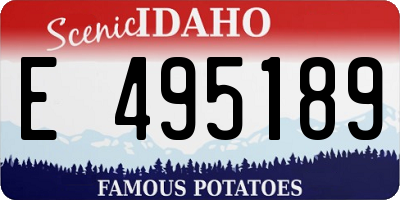 ID license plate E495189