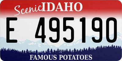 ID license plate E495190