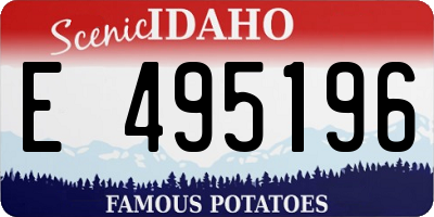ID license plate E495196