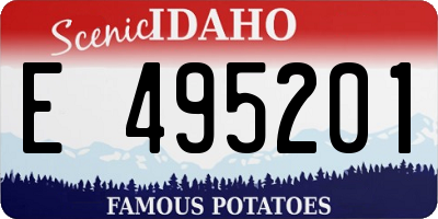 ID license plate E495201