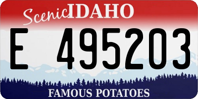ID license plate E495203