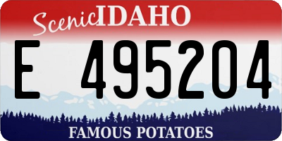 ID license plate E495204