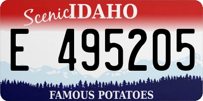 ID license plate E495205