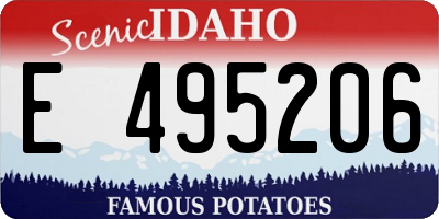 ID license plate E495206