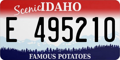 ID license plate E495210
