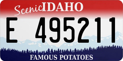ID license plate E495211