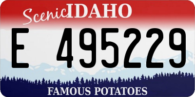 ID license plate E495229
