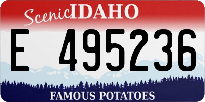ID license plate E495236