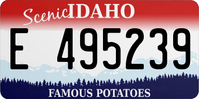 ID license plate E495239
