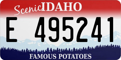 ID license plate E495241