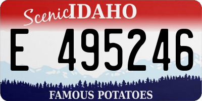 ID license plate E495246
