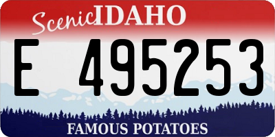 ID license plate E495253
