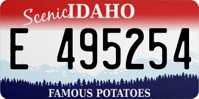 ID license plate E495254