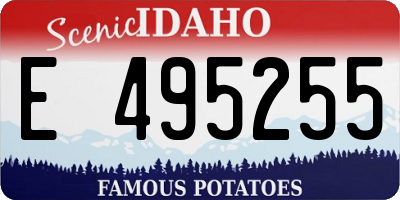 ID license plate E495255