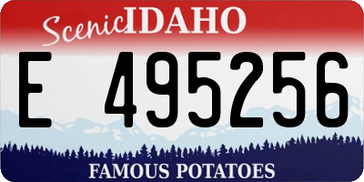 ID license plate E495256