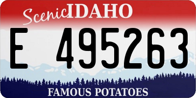ID license plate E495263