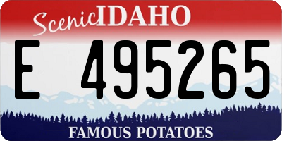 ID license plate E495265