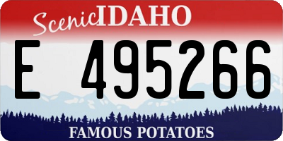 ID license plate E495266