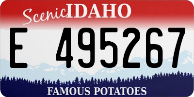 ID license plate E495267