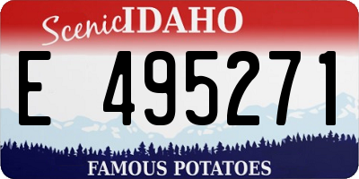 ID license plate E495271