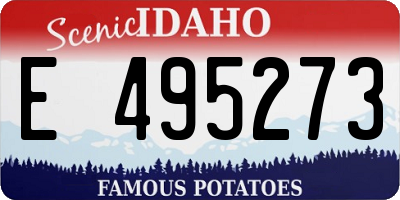 ID license plate E495273