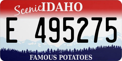 ID license plate E495275