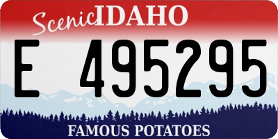 ID license plate E495295